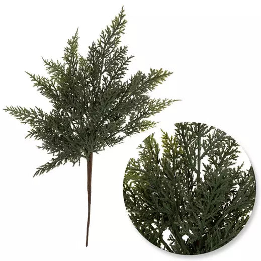Soft Cedar Sprig