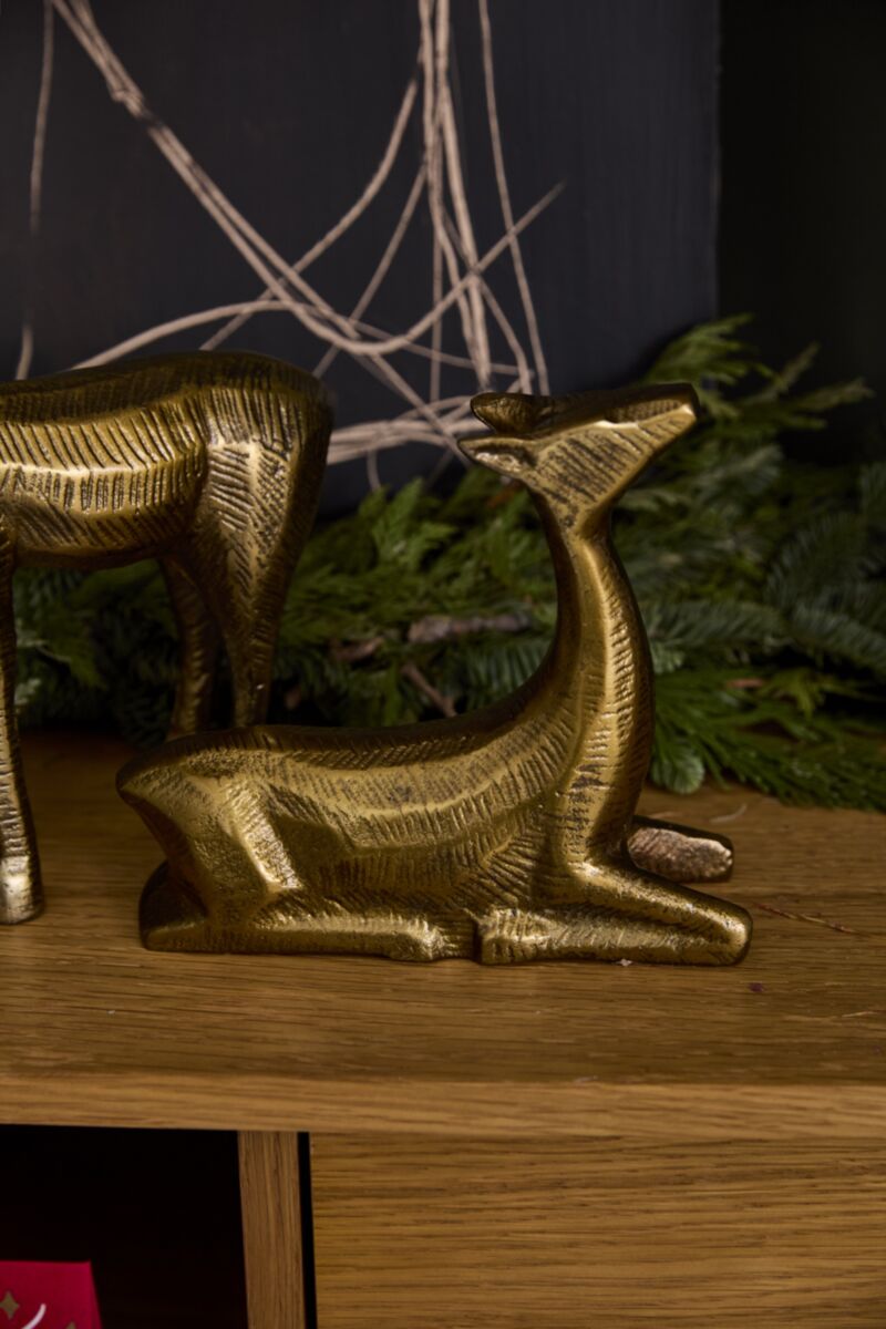 Vixon Sitting Reindeer