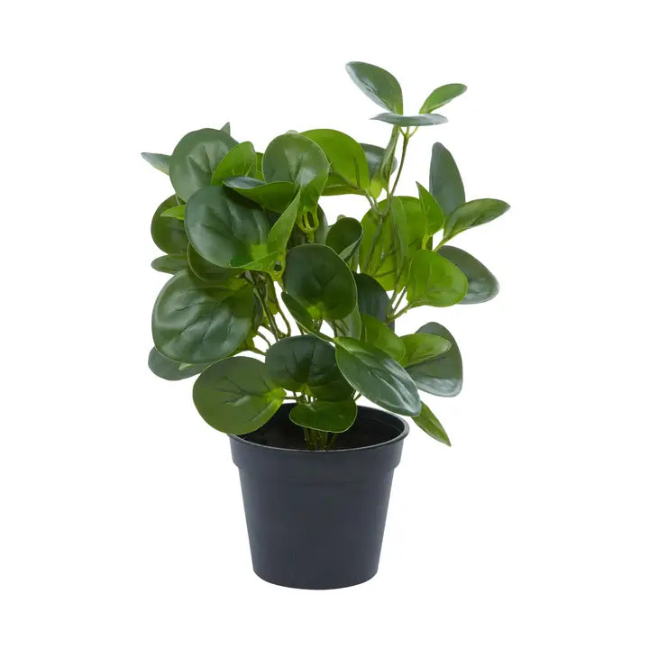 Traditional Green Faux Foliage Artificial Plant