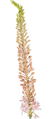 44" Foxtail Lilly Stem