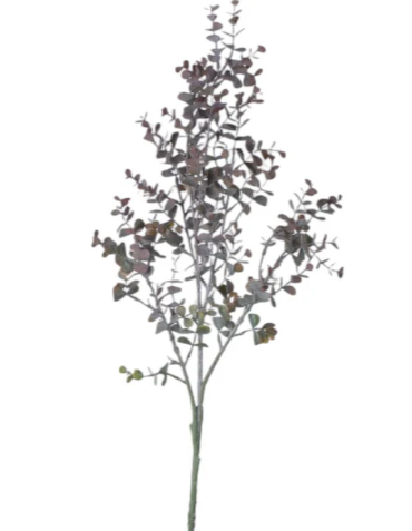 39" Eucalyptus Branch