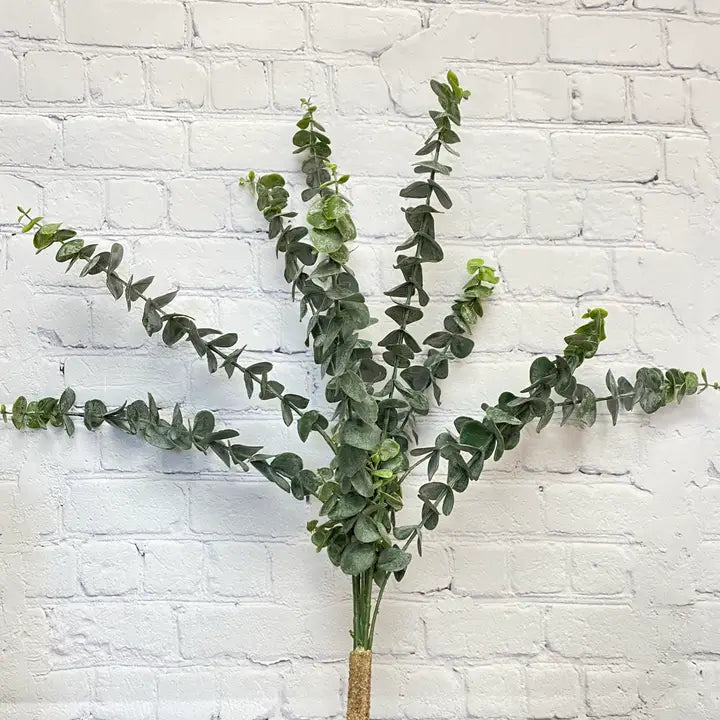 Spiral Eucalyptus Bush