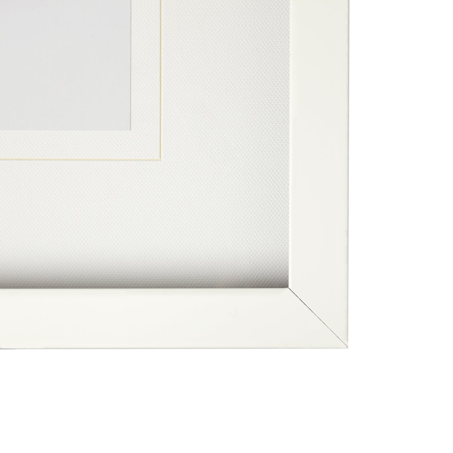 T-rex & Vintage Camera