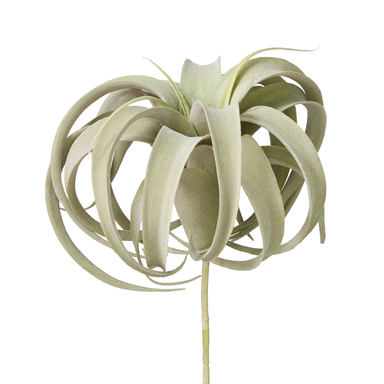 faux air plants Green Airplant – Mod House
