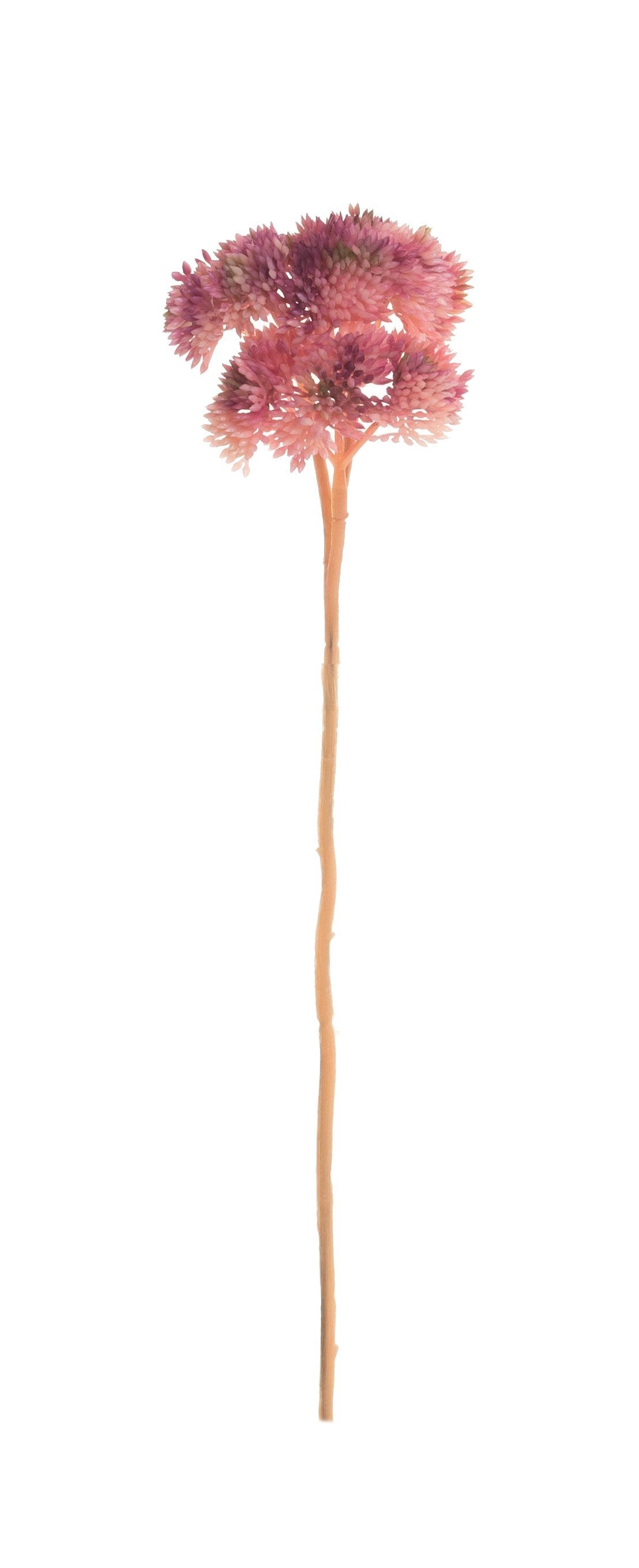 12" Pink Succulent Stem