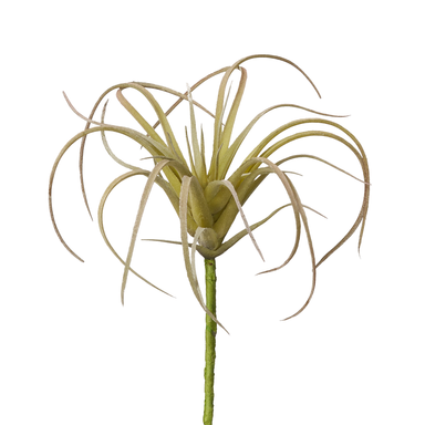 small artificial air plants 3" Green Airplant – Mod House