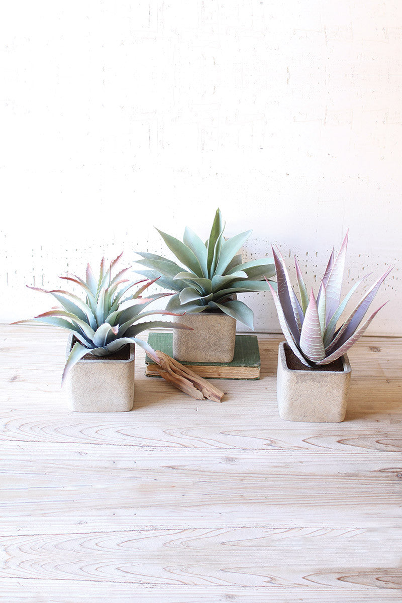 succulent in square pot large artificial succulents in square pot