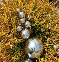 CACTUS 10.5"H BALL SCULPTURE