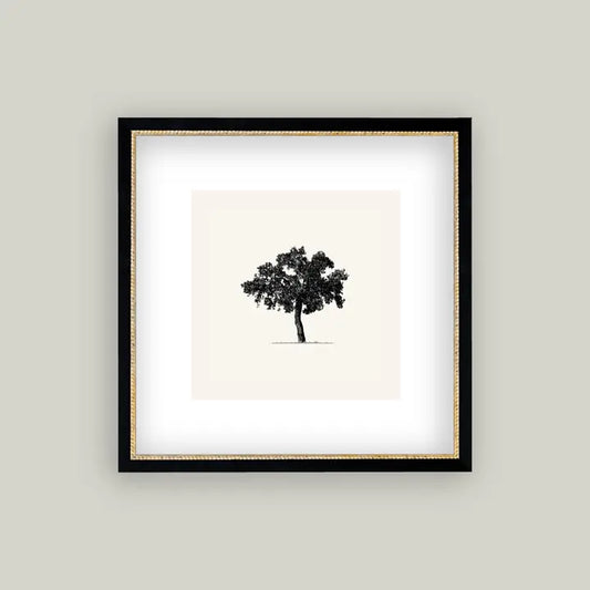 Tree Framed Antique Art
