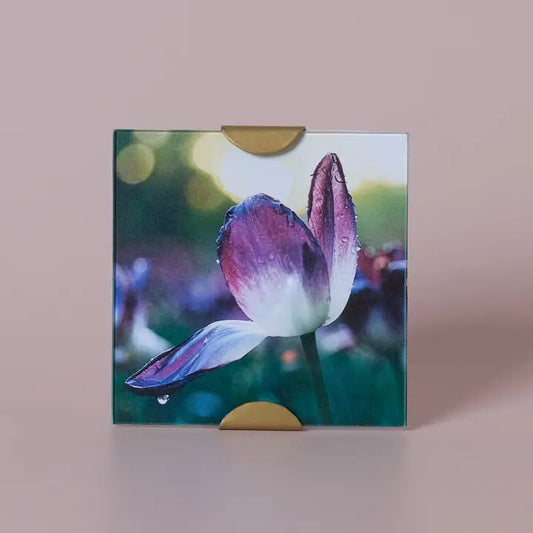 Gold Scallop Glass Frame