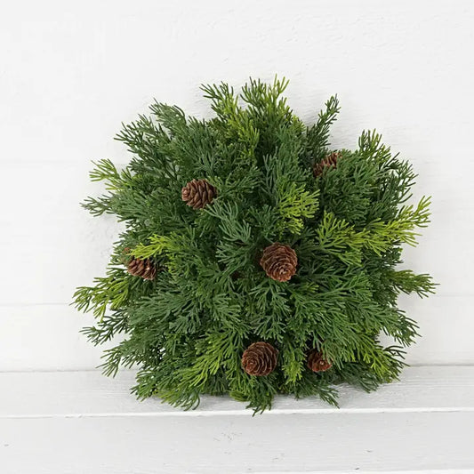 Half Sphere-Evergreen Cypress with Birchcones