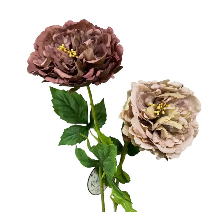 Taupe Peony Stem