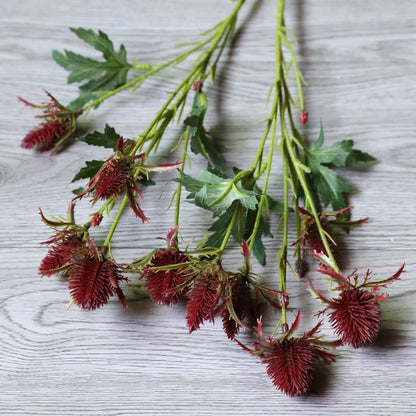 Thistle Eryngium Sea Holly