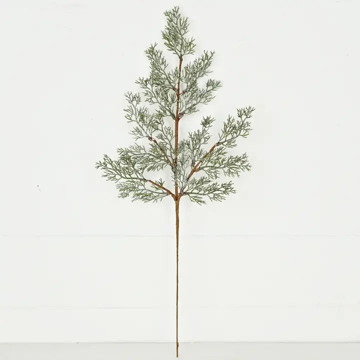 Spray-Country Cedar Pines