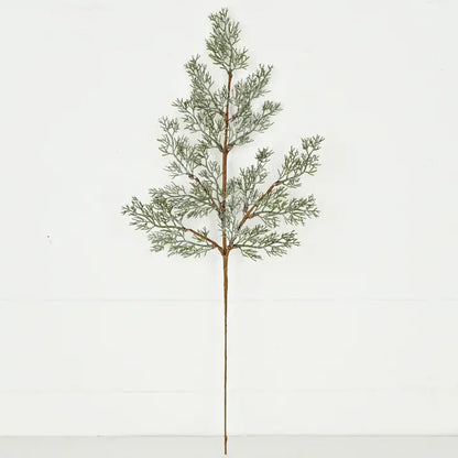 Spray-Country Cedar Pines