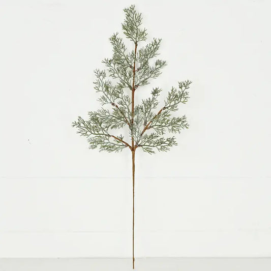 Spray-Country Cedar Pines