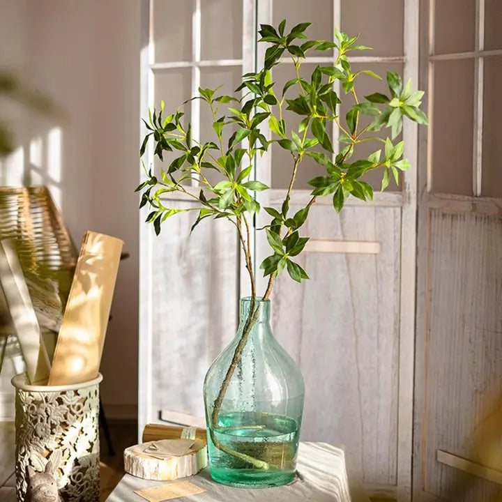 Pieris Japonica Stem