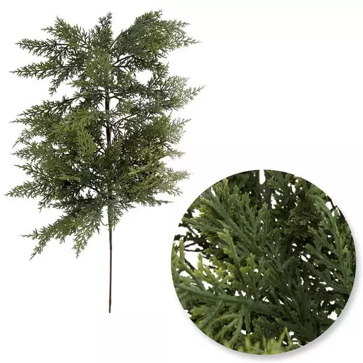 Velvet Cedar Stem
