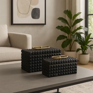 S/2 Fabian Storage Boxes