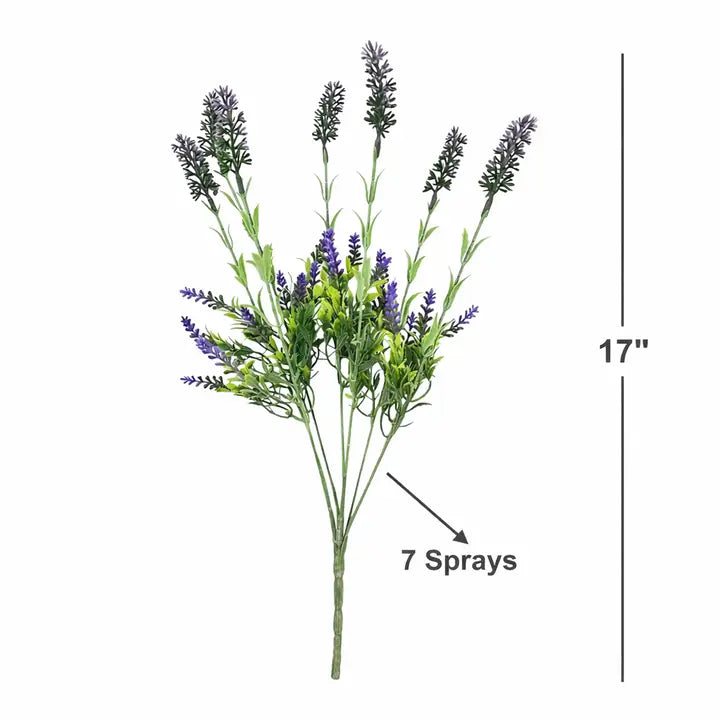 Lush Green Shades of Purple Lavender Spray
