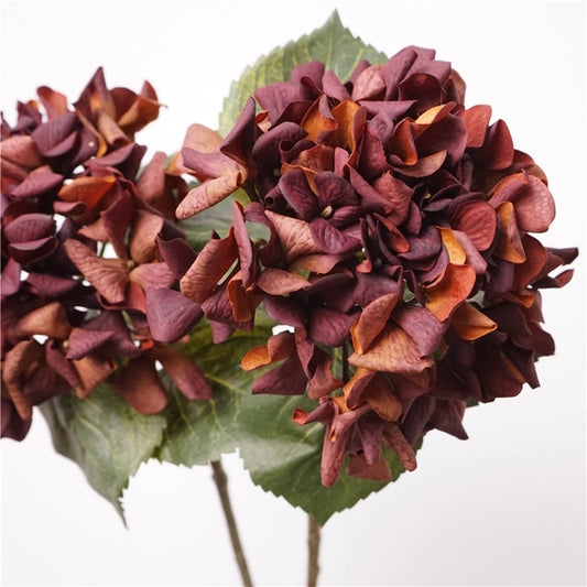 Lux Hydrangea Stem