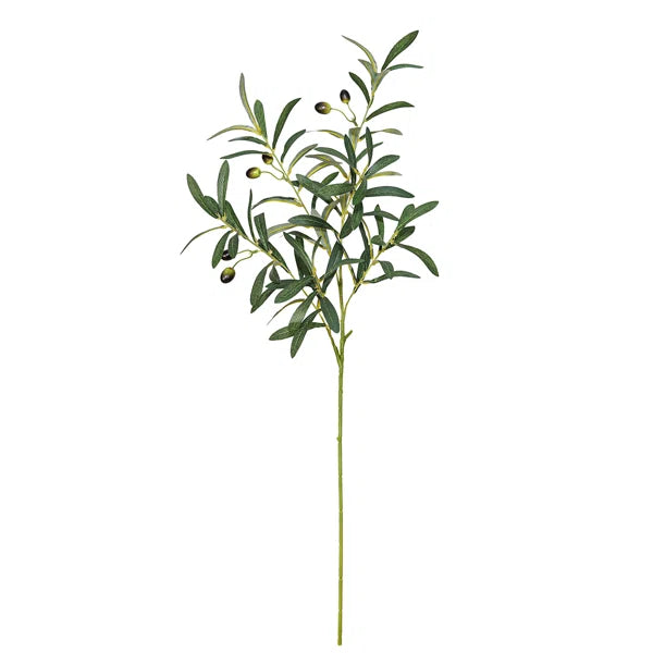 34" Olive Branch