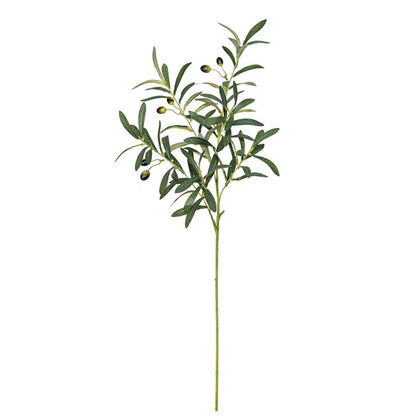 34" Olive Branch