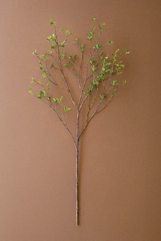 Budding Leaf Spray