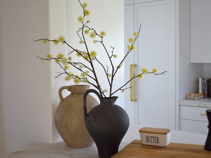 Sierra Jug