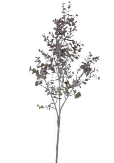 Dark Eucalyptus Branch