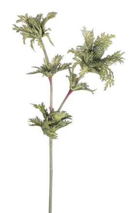 27" Thistle stem
