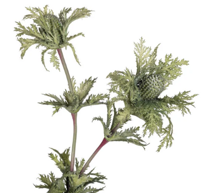 27" Thistle stem