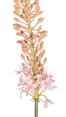 44" Foxtail Lilly Stem