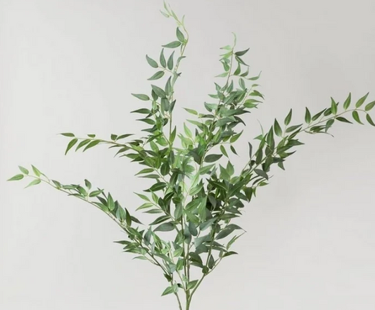 47" Italian Ruscus