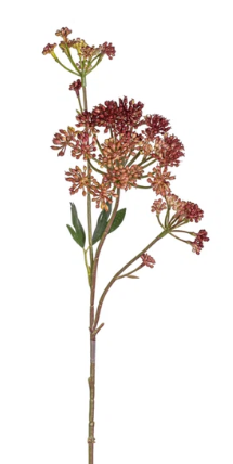 24.5" Angelica Flower Stem