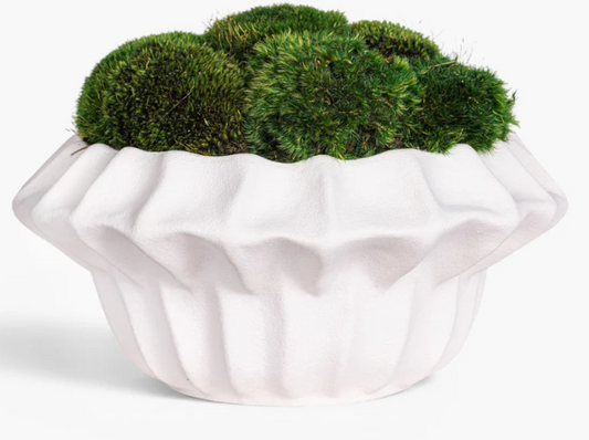 Adaline Moss Potted Planter