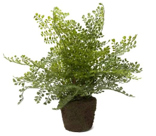 18" Drop-In Fern