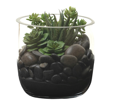 6" Black Colie Succulent Bowl