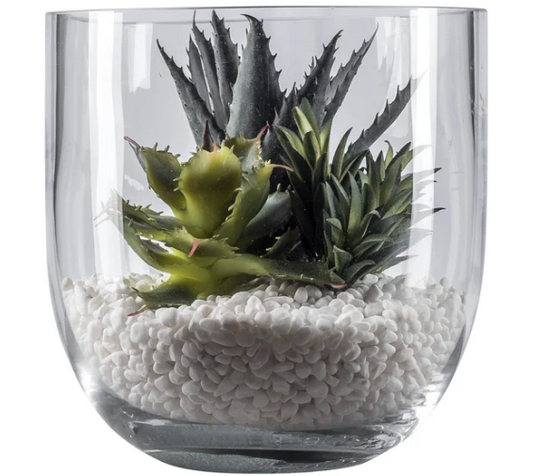 8" White Colie Succulent Bowl