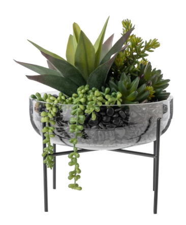Sadie Succulent Arrangement