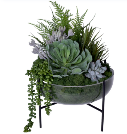 Conner Succulent Bowl Arrangement