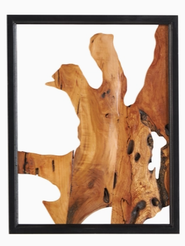 Natural Brown Wood Decor