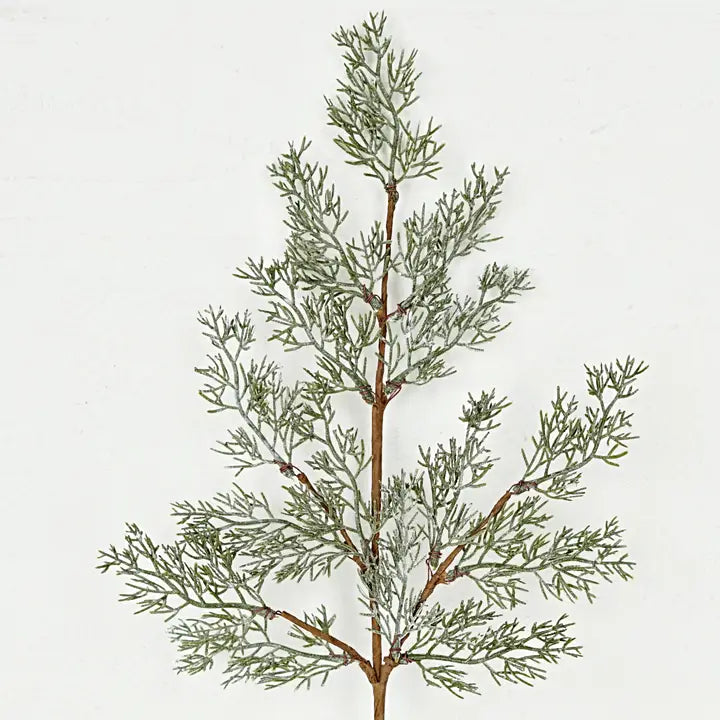 Spray-Country Cedar Pines