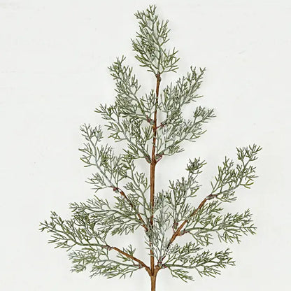 Spray-Country Cedar Pines