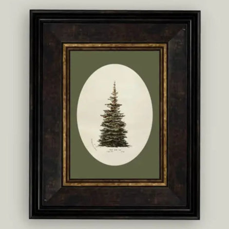 Oval Matte Tree Framed Antique Art