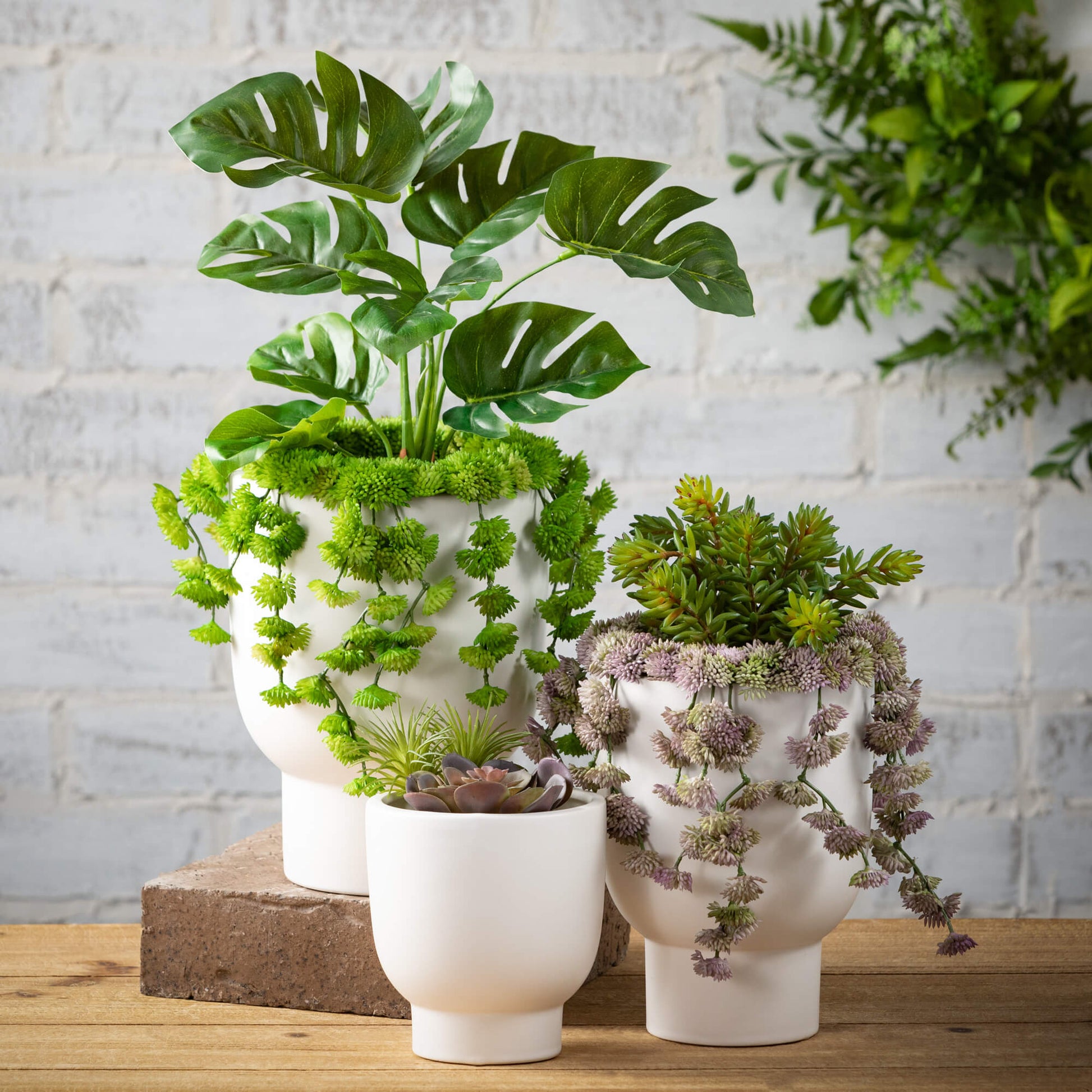 mod house plants Platform Planters – Mod House
