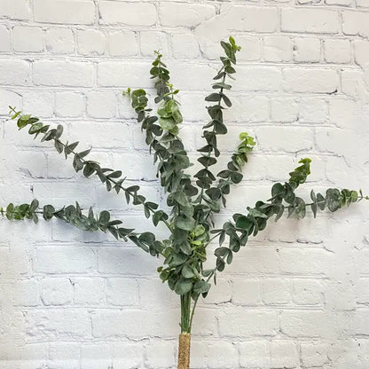 Spiral Eucalyptus Bush