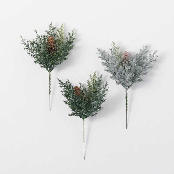 Prickly Pine