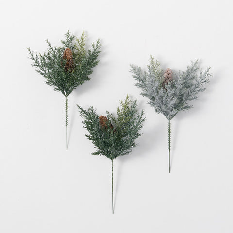 Prickly Pine