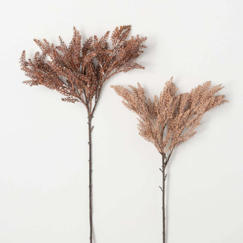 Dry Grass Spray